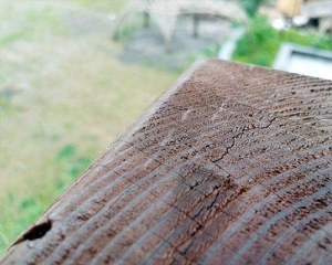 贵州防腐木木头